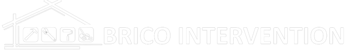 BRICO INTERVENTION logo
