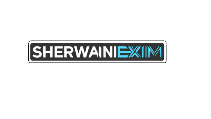 Sherwani Exim logo