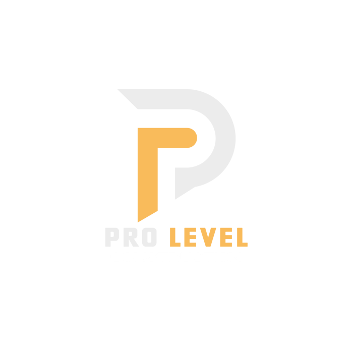 Pro Level Construction logo