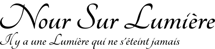 Nour Sur Lumière logo