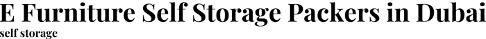E Furniture Self Storage Packers in Dubai logo