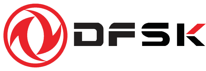 DFSK logo
