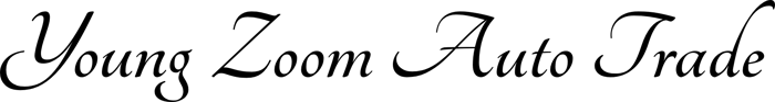 Young Zoom Auto Trade logo