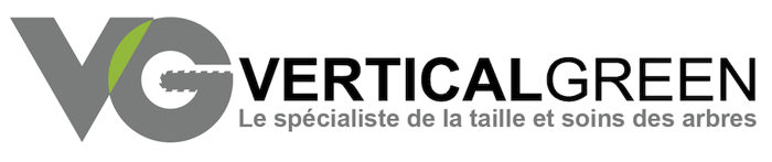 VerticalGreen logo