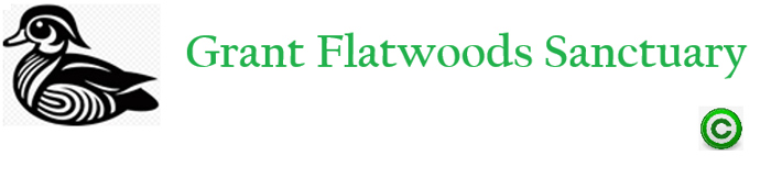 Grant Flatwoods Sanctuary logo