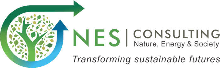 NES CONSULTING INTERNATIONAL logo
