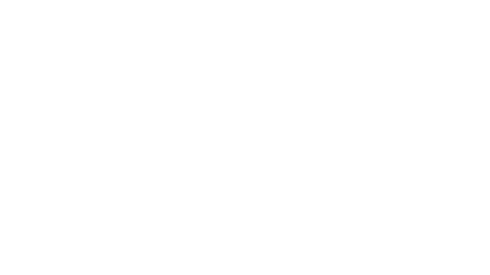 GAMA Pro logo