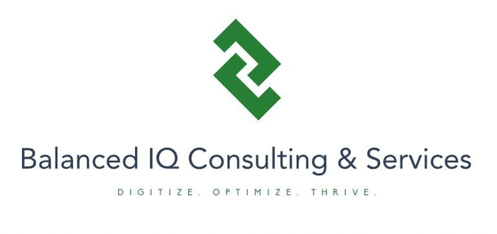 Balanced IQ Consulting & Services logo