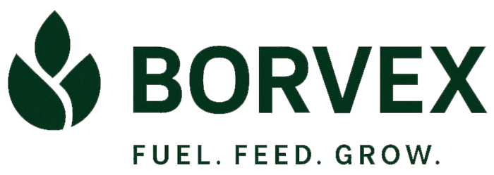 Borvex Ltd logo