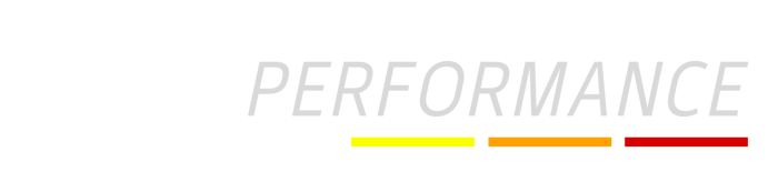 DZ Performance logo