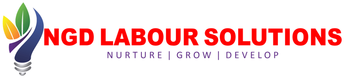 NGD Labour Solutions logo