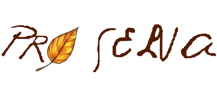 ProSelva logo