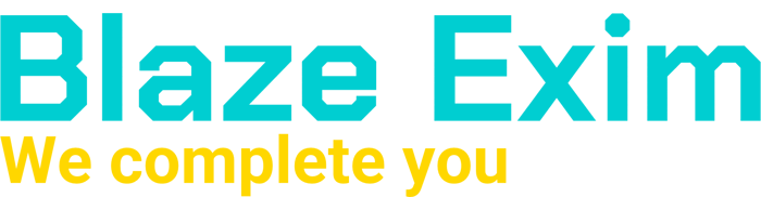 Blaze Exim logo