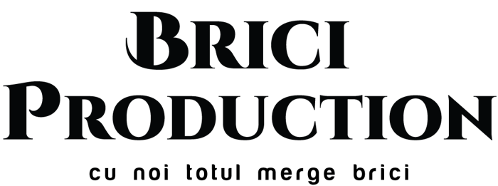 Brici Production logo