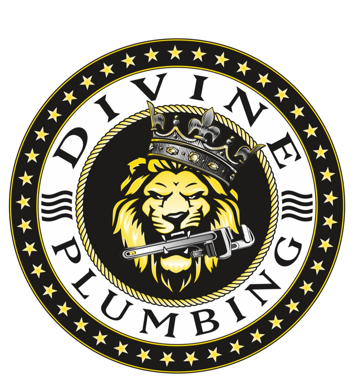Divine Plumbing logo