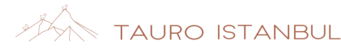 TAURO ISTANBUL logo