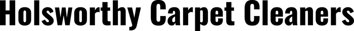 Holsworthy Carpet Cleaners logo