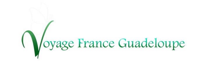 voyage-france-guadeloupe.com logo