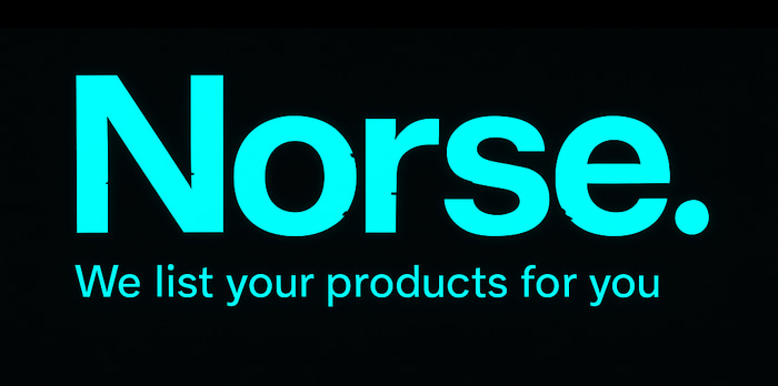 Norse tech logo