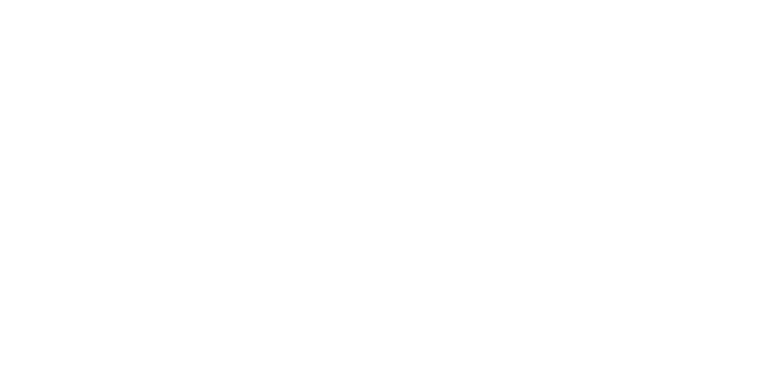 Alex Sousa logo