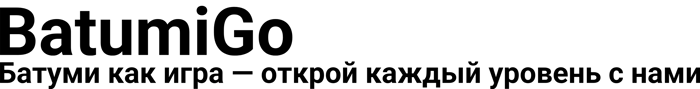BatumiGo logo