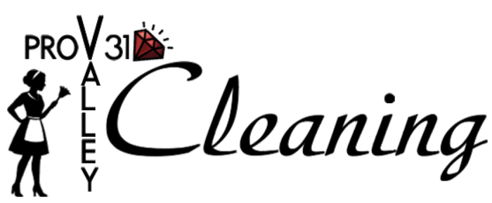 Pro Valley 31 Cleaning logo