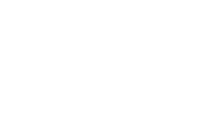 bmwfurniture logo
