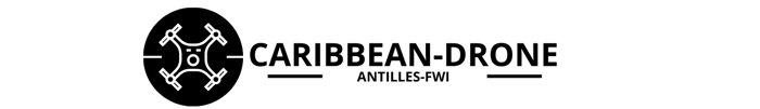 Caribbean-Drone logo