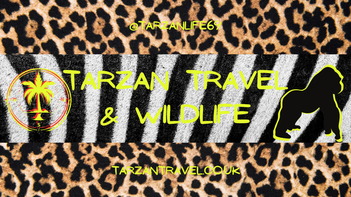 Tarzan Travel logo