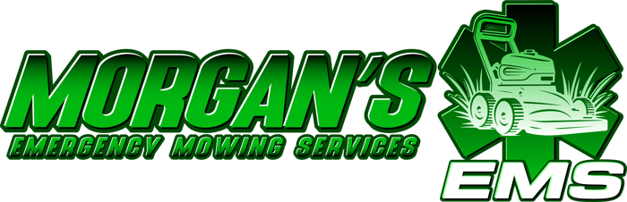 Morgan's EMS logo