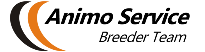 Animo Service logo