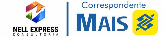 Nell Express Consultoria - Correspondente Bancário logo