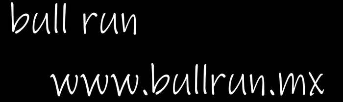 BULLRUN | bullrun.mx | enside opporunity logo