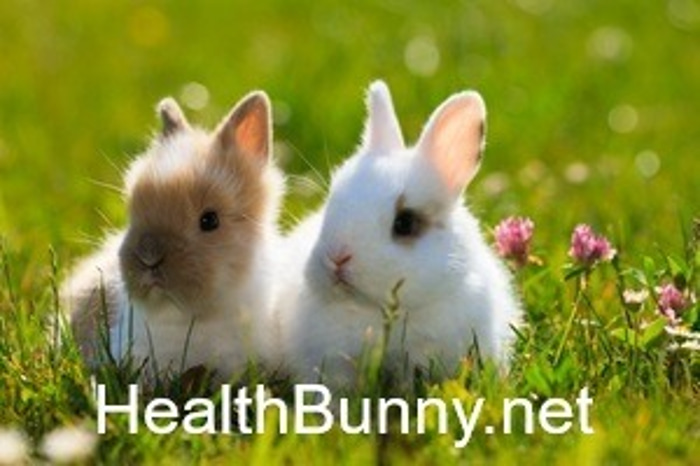 HealthBunny.net logo