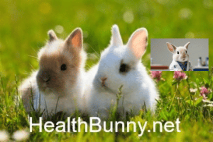 HealthBunny.net logo