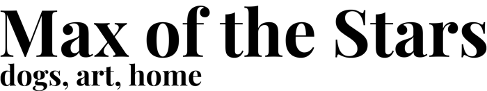 Max of the Stars logo