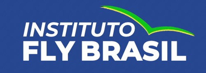 Instituto FLY Brasil logo