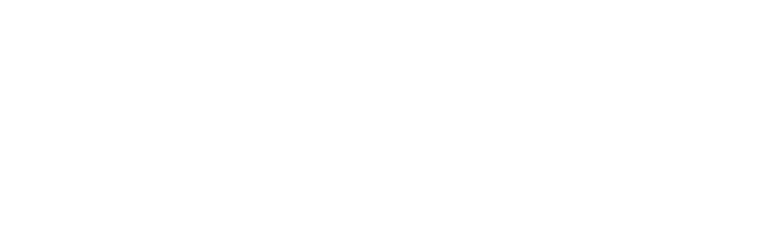 magnetic-ia logo