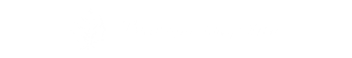 Psicologia Integrativa logo