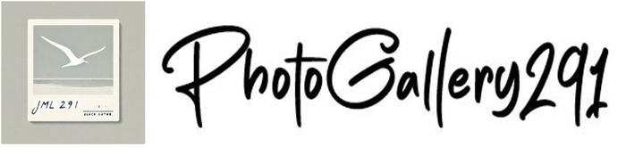 Photogallery291 logo