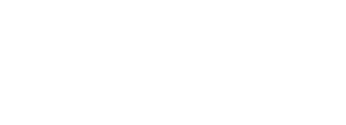 Dronestate (we do more than just fly ) logo