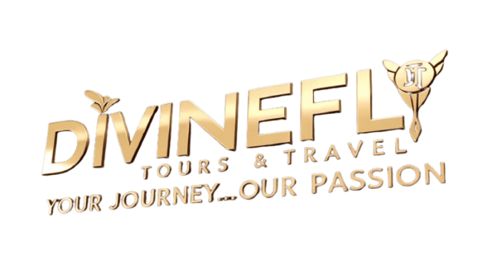 Divinefly Tours & Travels logo