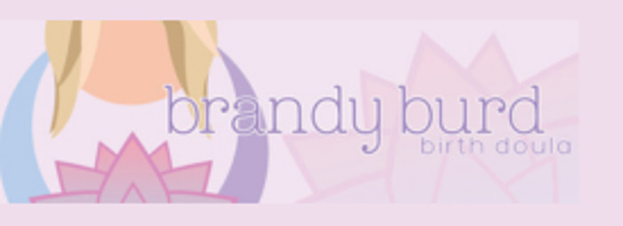 Brandy Burd logo