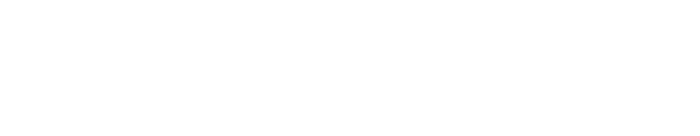 Sannini Borlido logo