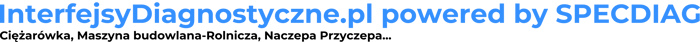 Interfejsy Diagnostyczne logo