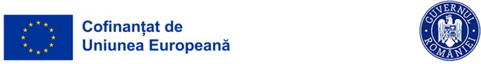 Stagii de practică logo