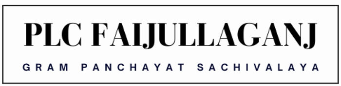 plcgpsfaijullaganj.in logo