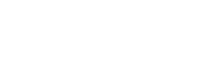 Leclerc Ludovic Photographe de Mariage logo