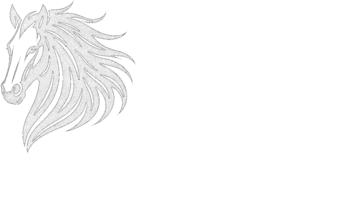 HaChava Performance Horses LLC logo