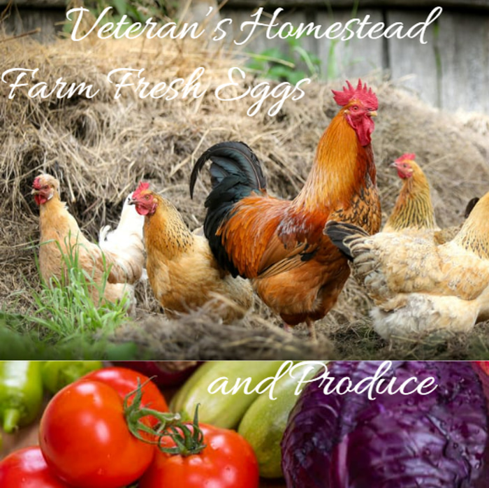 Veterans Homestead logo